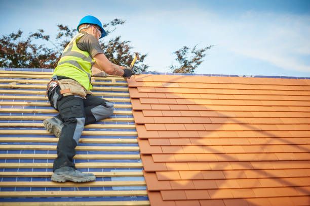 Best Roof Moss and Algae Removal  in Gloucester, MA